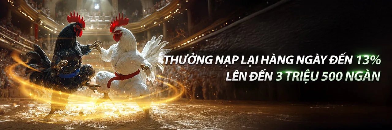 Đá Gà Trực Tuyến Hấp Dẫn tại mint88