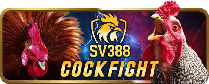 Chơi có trách nhiệm tại mint88